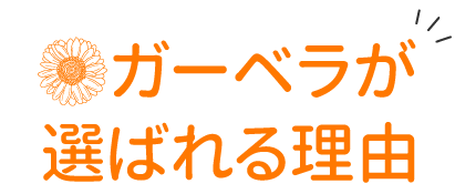 ガーベラが選ばれる理由