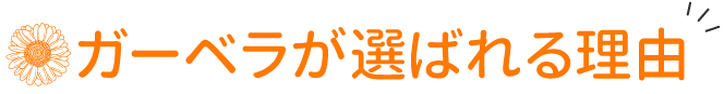 ガーベラが選ばれる理由
