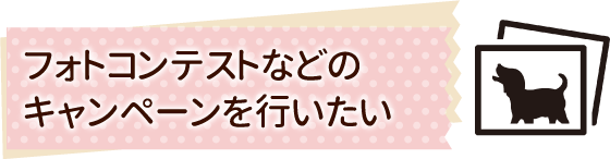 フォトコンテストなどのキャンペーンを行いたい