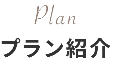 プラン紹介
