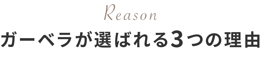 ガーベラが選ばれる3つの理由